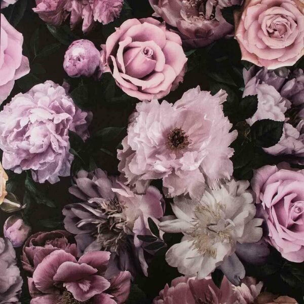 WALLPAPER PAPIER PANDORA DARMA 108697